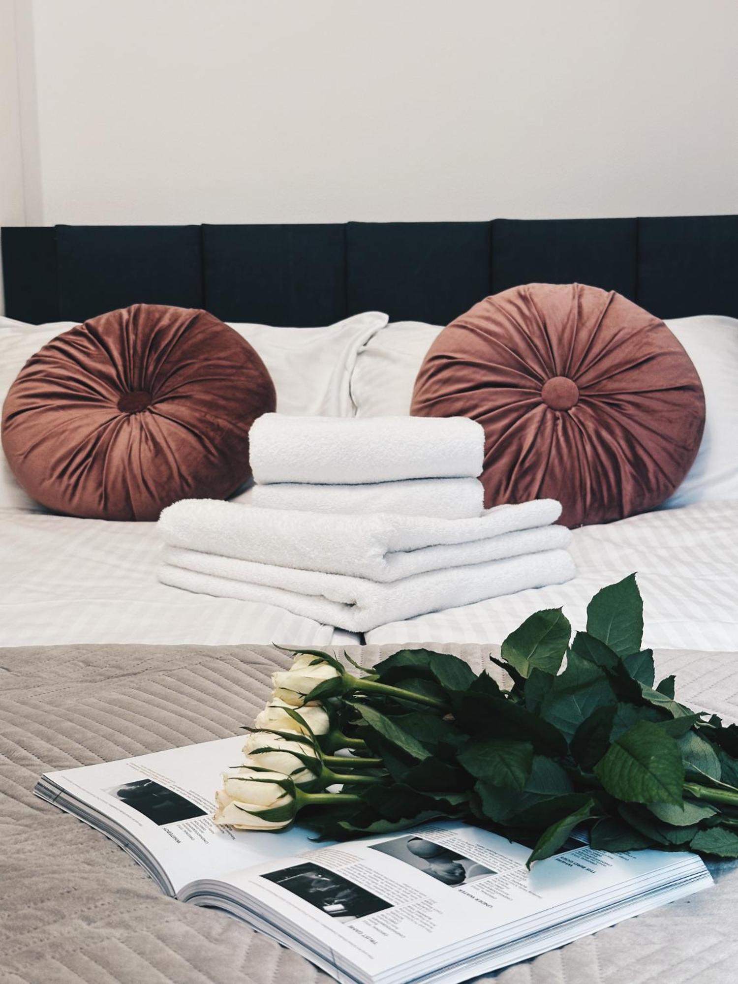 Soft Loft Apartamenty Torun Bagian luar foto